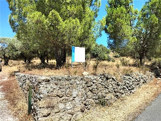 Pisos banco Adrada (La)