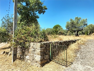LARGA 2