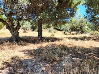 LARGA 3