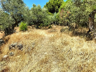 LARGA 6