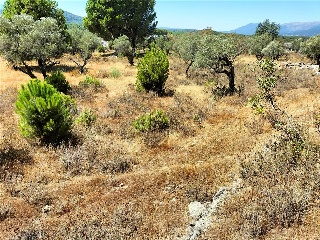 LARGA 9