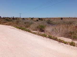 Pisos banco Elche/Elx