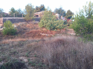 Urbanizacion VISTA ALEGRE, Número 323 3