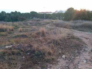 Urbanizacion VISTA ALEGRE, Número 323 4