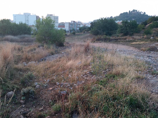 Urbanizacion VISTA ALEGRE, Número 323 5