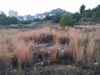 Urbanizacion VISTA ALEGRE, Número 323 9