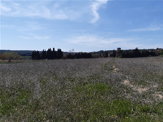 PLA MILLORA URBANA 3