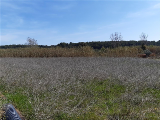PLA MILLORA URBANA 4
