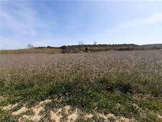 PLA MILLORA URBANA 10