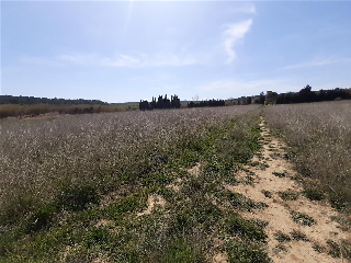 PLA MILLORA URBANA 11