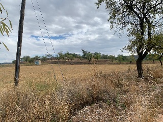 SECTOR SP PP 62 DE TARACENA CAMINO DE IRIEPAL 2