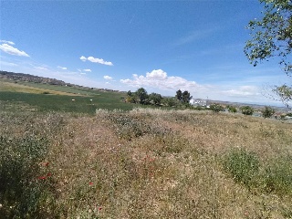 SECTOR SP PP 62 DE TARACENA CAMINO DE IRIEPAL 11