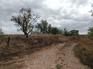SECTOR SP PP 62 DE TARACENA CAMINO DE IRIEPAL 14