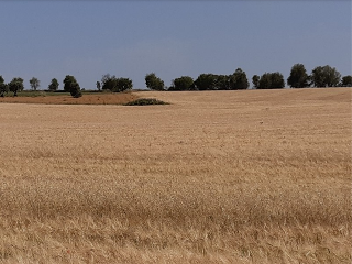 Otros en venta en Mondéjar
