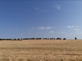 Lugar EL PRADO 6 2