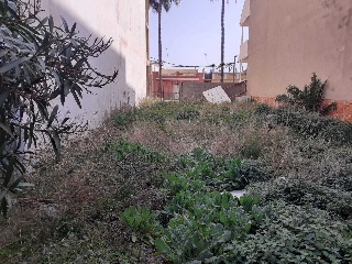 PLANA BAIXA 2