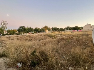 VICENTE CERVERA 4