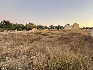 VICENTE CERVERA 5