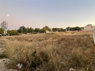 VICENTE CERVERA 6