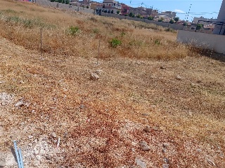 VICENTE CERVERA 8