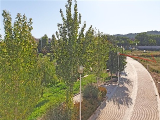 VICENTE CERVERA 11