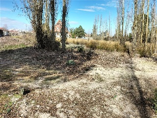 PALOMA 21