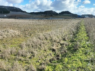 PARAJE VALDEZOÑO 31