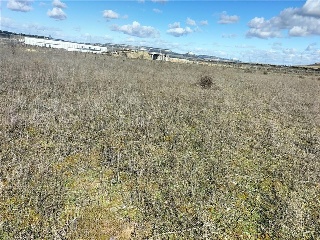 PAGO VALDEZOÑO, PARCELA 112 - POLIGONO 10 5