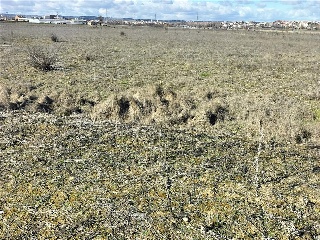 PAGO VALDEZOÑO, PARCELA 112 - POLIGONO 10 9