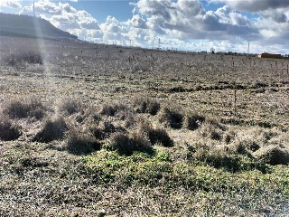 PAGO VALDEZOÑO, PARCELA 112 - POLIGONO 10 11