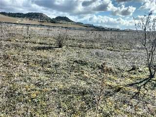 PAGO VALDEZOÑO, PARCELA 112 - POLIGONO 10 14