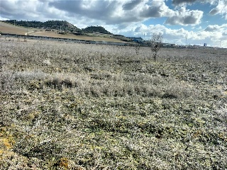 PAGO VALDEZOÑO, PARCELA 112 - POLIGONO 10 15
