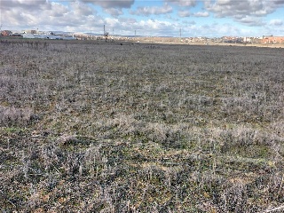 PAGO VALDEZOÑO, PARCELA 112 - POLIGONO 10 19