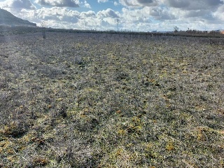 PAGO VALDEZOÑO, PARCELA 112 - POLIGONO 10 21