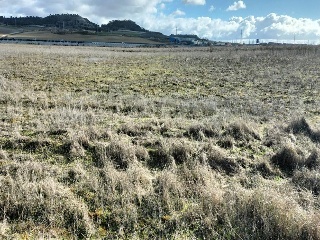PAGO VALDEZOÑO, PARCELA 112 - POLIGONO 10 24