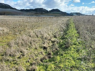 PAGO VALDEZOÑO, PARCELA 112 - POLIGONO 10 26