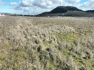 PAGO VALDEZOÑO, PARCELA 112 - POLIGONO 10 27
