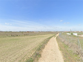 PAGO VALDEZOÑO, PARCELA 112 - POLIGONO 10 29