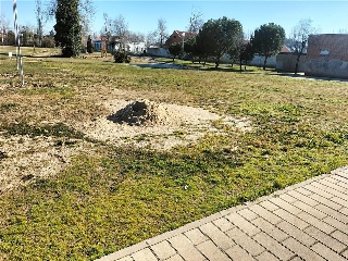 ACEQUIA 5
