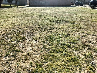 ACEQUIA 10