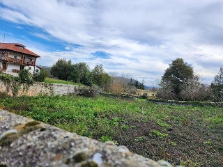 LAMADRID 4