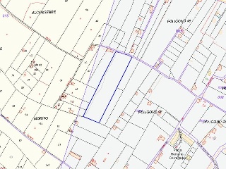 POLIGONO 49 2