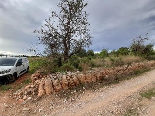 POLIGONO 49 3