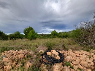 POLIGONO 49 6