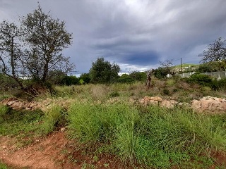 POLIGONO 49 12