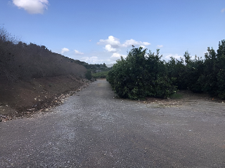 PARAJE EMBASTIDA O BASTIDA 2