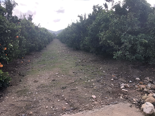 PARAJE EMBASTIDA O BASTIDA 3