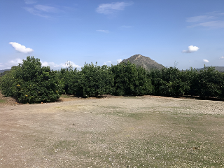 PARAJE EMBASTIDA O BASTIDA 6