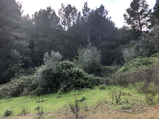 PARAJE EMBASTIDA O BASTIDA 7