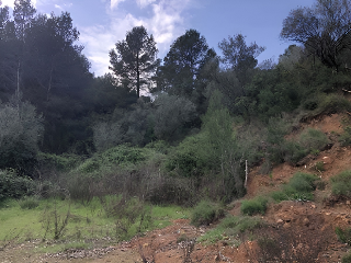 PARAJE EMBASTIDA O BASTIDA 8